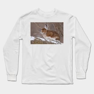 Show Shoe Hare Long Sleeve T-Shirt